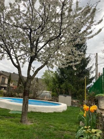 Casa Rural El Eden Del Ungria Caspueñas Eksteriør billede